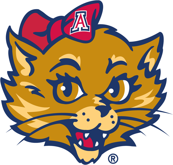 Arizona Wildcats 2003-Pres Mascot Logo v3 diy fabric transfer